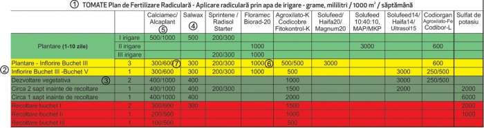 Plan de fertilizare radiculara si foliara la tomate de la marcoser