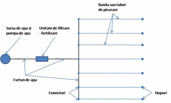 schema irigare prin picurare