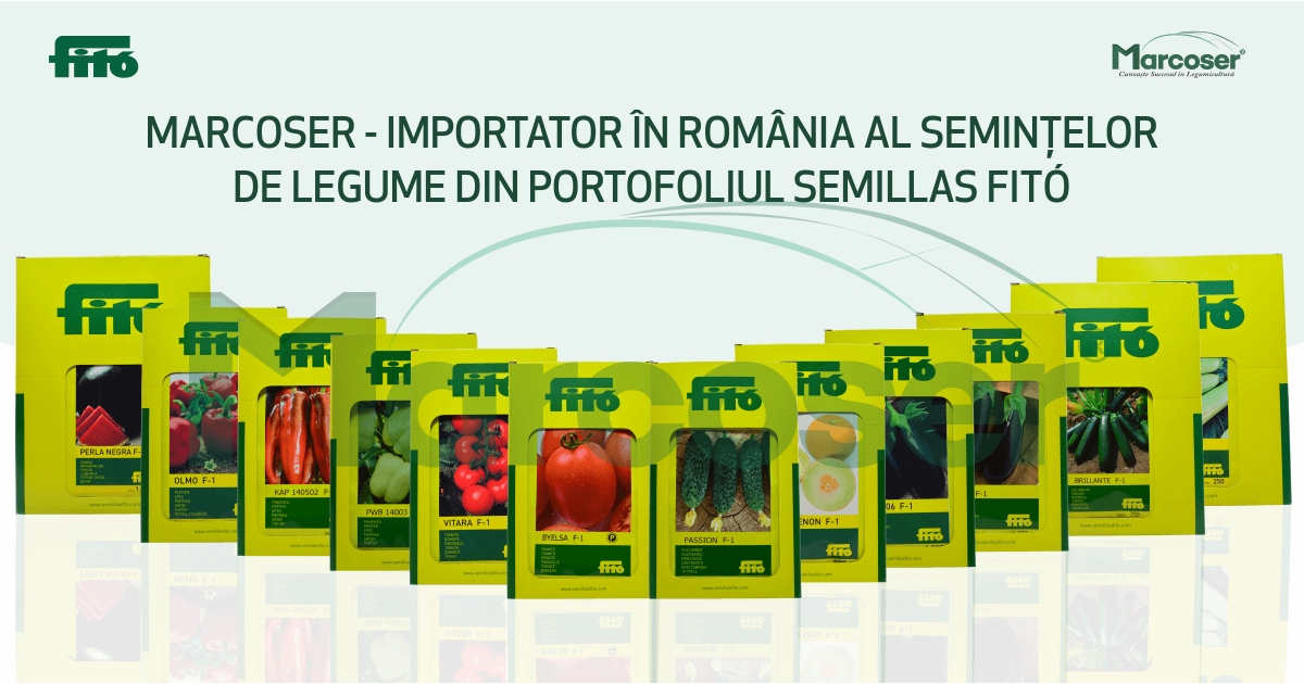 MARCOSER – importator al hibrizilor Semillas Fitó