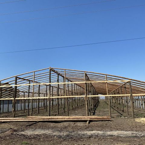 Ferma Marcoser – o suprafata de 3,5 ha cu diferite tipuri de structuri ale solariilor