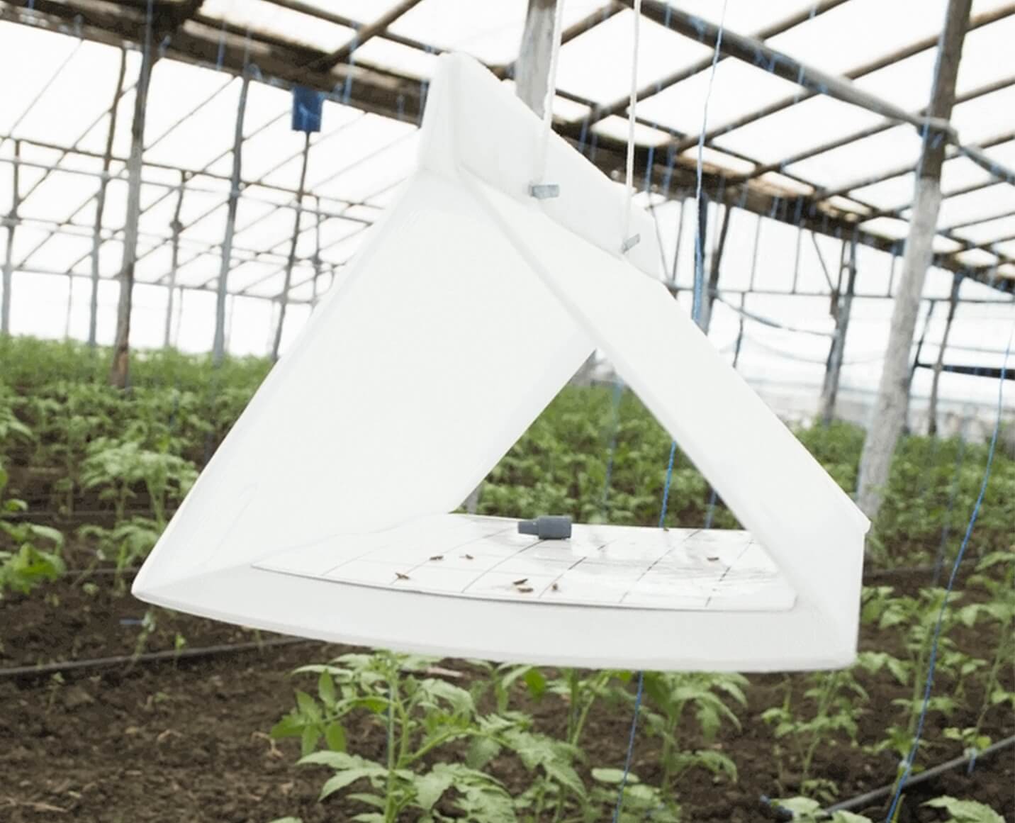 Combaterea integrata a bolilor si daunatorilor