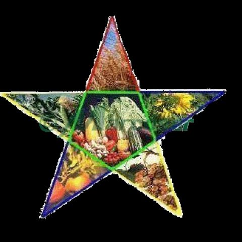 Avantaje ingrasaminte lichide