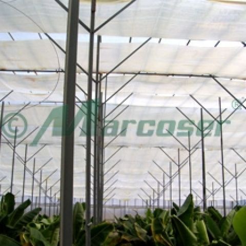 Avantajele utilizarii foliei profesionale