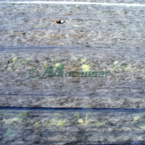 Avantajele utilizarii foliei microporoase antiinghet