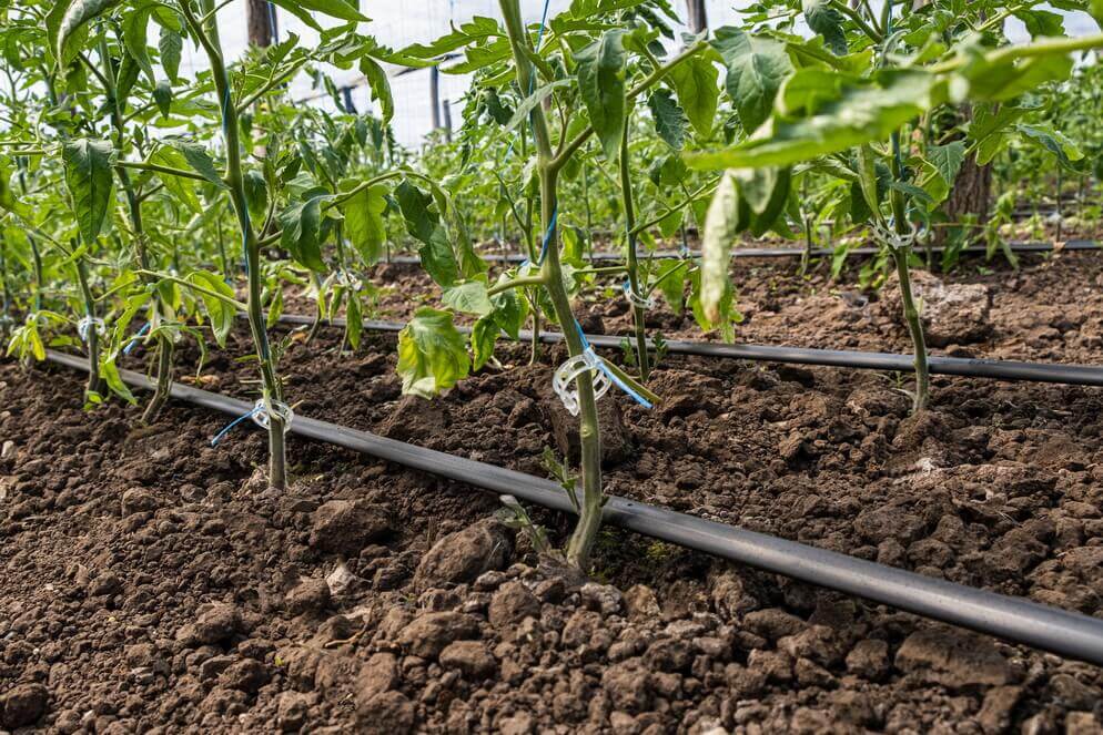 BANDA DE IRIGARE PRIN PICURARE SUNSTREAM (DG10) 