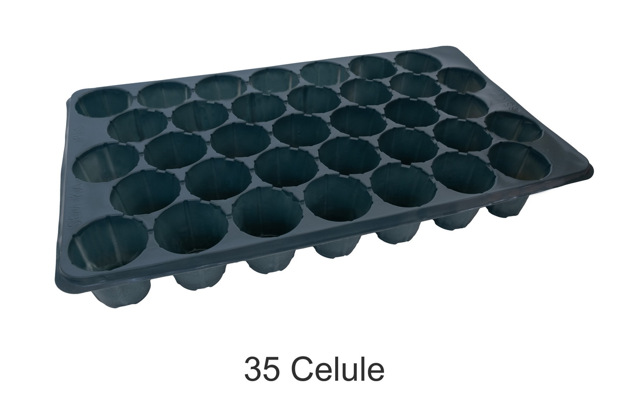 TAVI ALVEOLARE 35 CELULE PENTRU REPICAT
