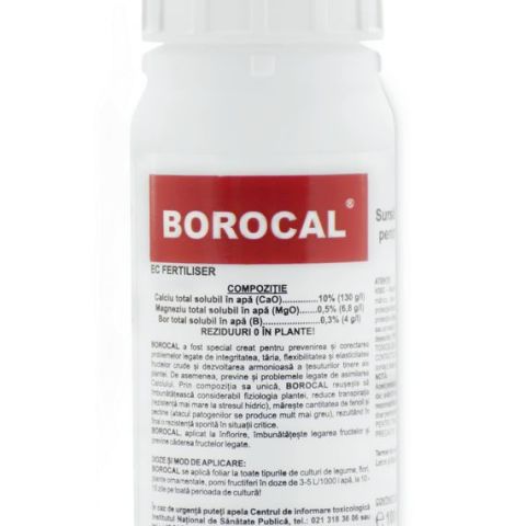 BOROCAL