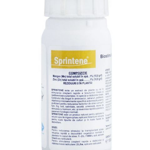 SPRINTENE