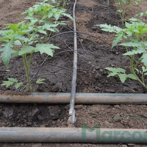 TUB DE IRIGARE PRIN PICURARE