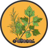 Seminte plante aromatice