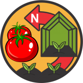 Seminte de tomate nedeterminate