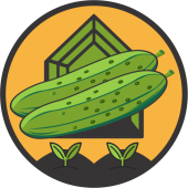Castraveti cornichon