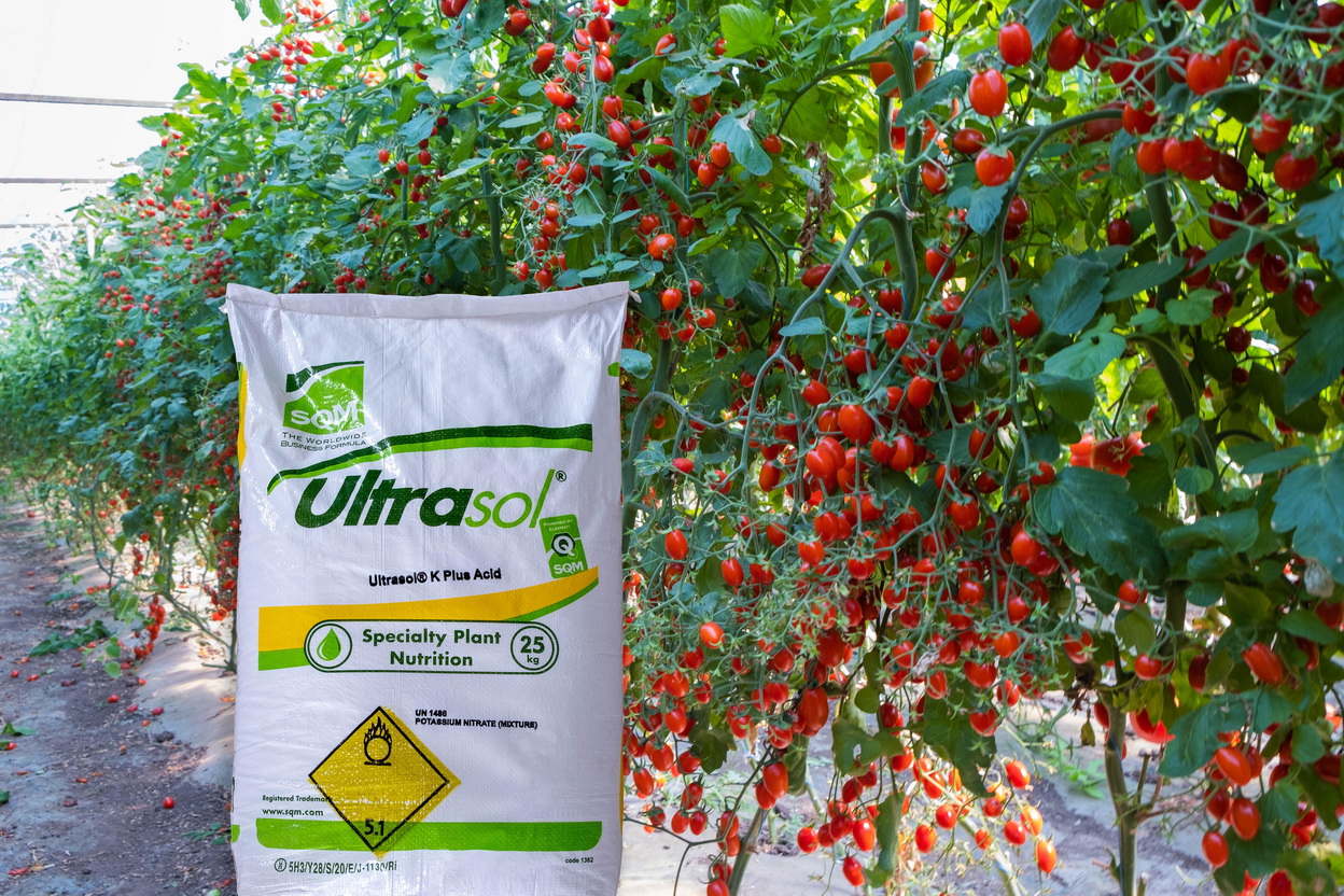 NOU! Ultra-eficienta in hranirea culturilor cu potasiu