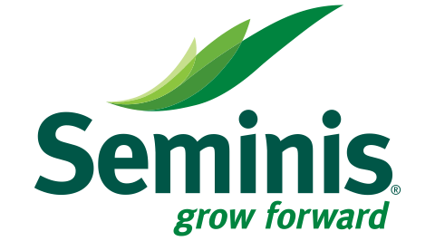 SEMINIS