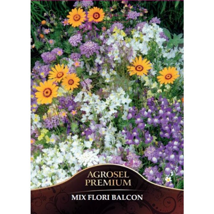 Mix flori balcon