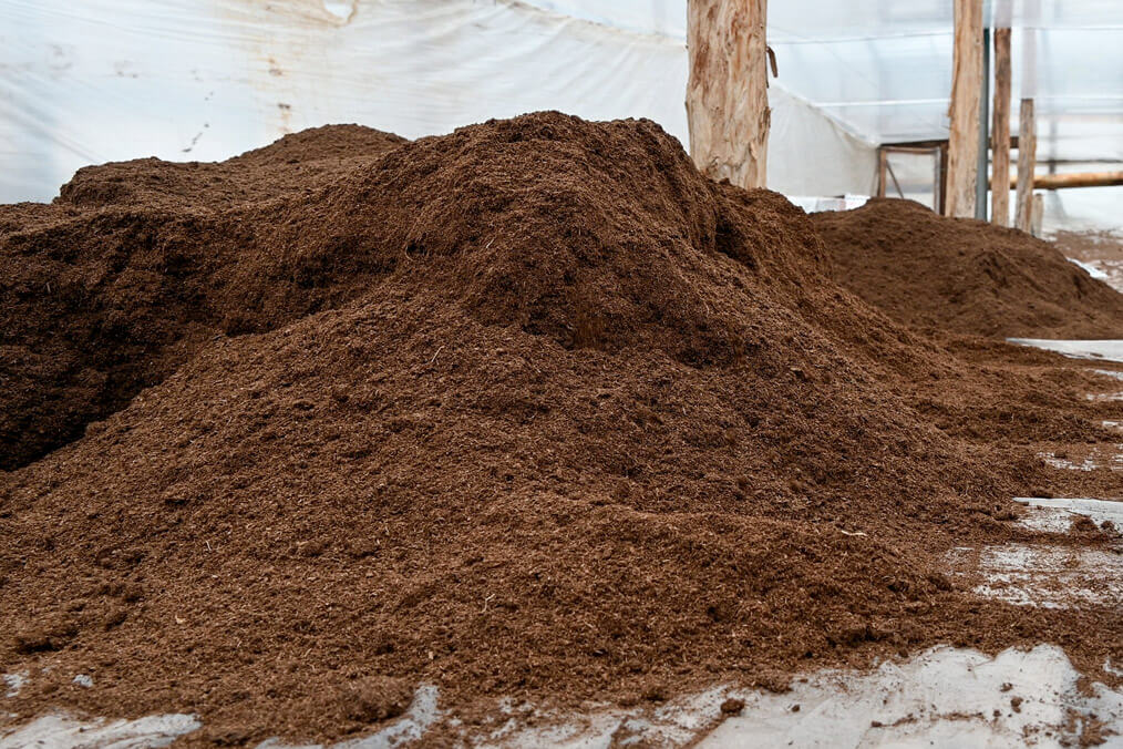 SUBSTRAT DE SEMANAT RASAD (0-5mm)