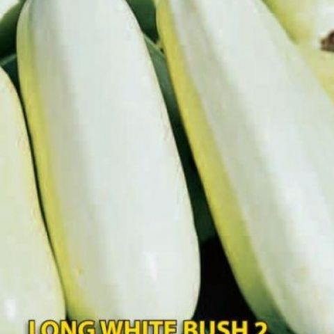 LONG WHITE BUSH 2 HOBBY