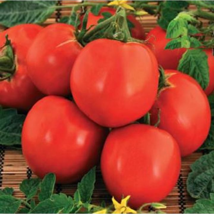 Raluca tomate