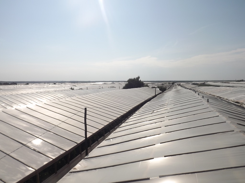 FOLIE DE ACOPERIRE PENTRU SOLAR DE 150μ - GARANTIE 24 LUNI