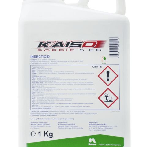 KAISO SORBIE 5 EG