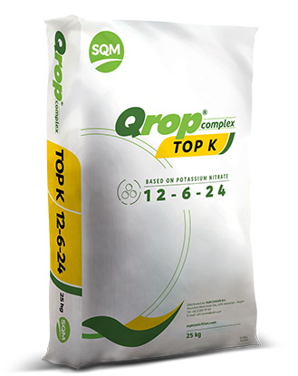 COMPLEX TOP K 12:6:24