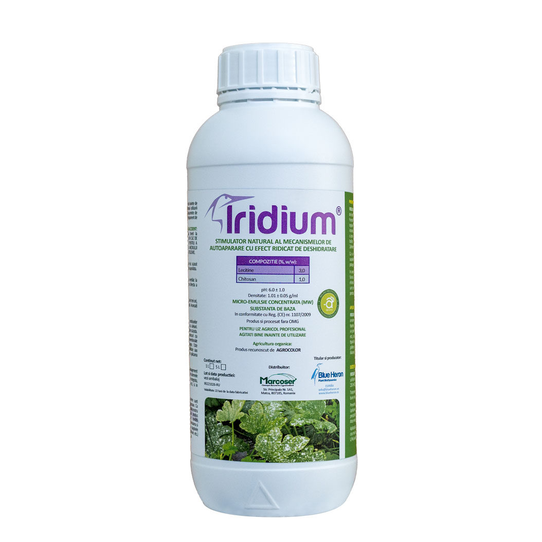IRIDIUM