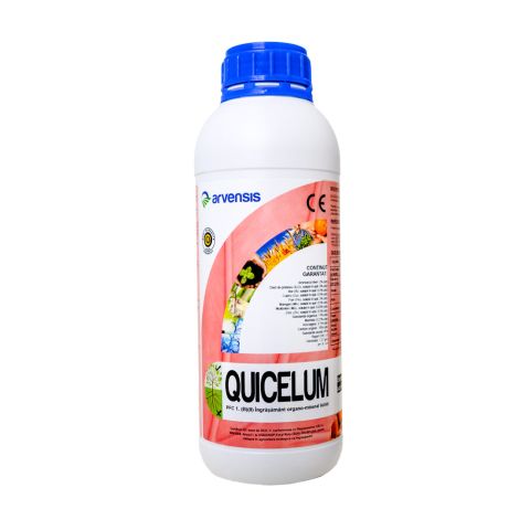 QUICELUM