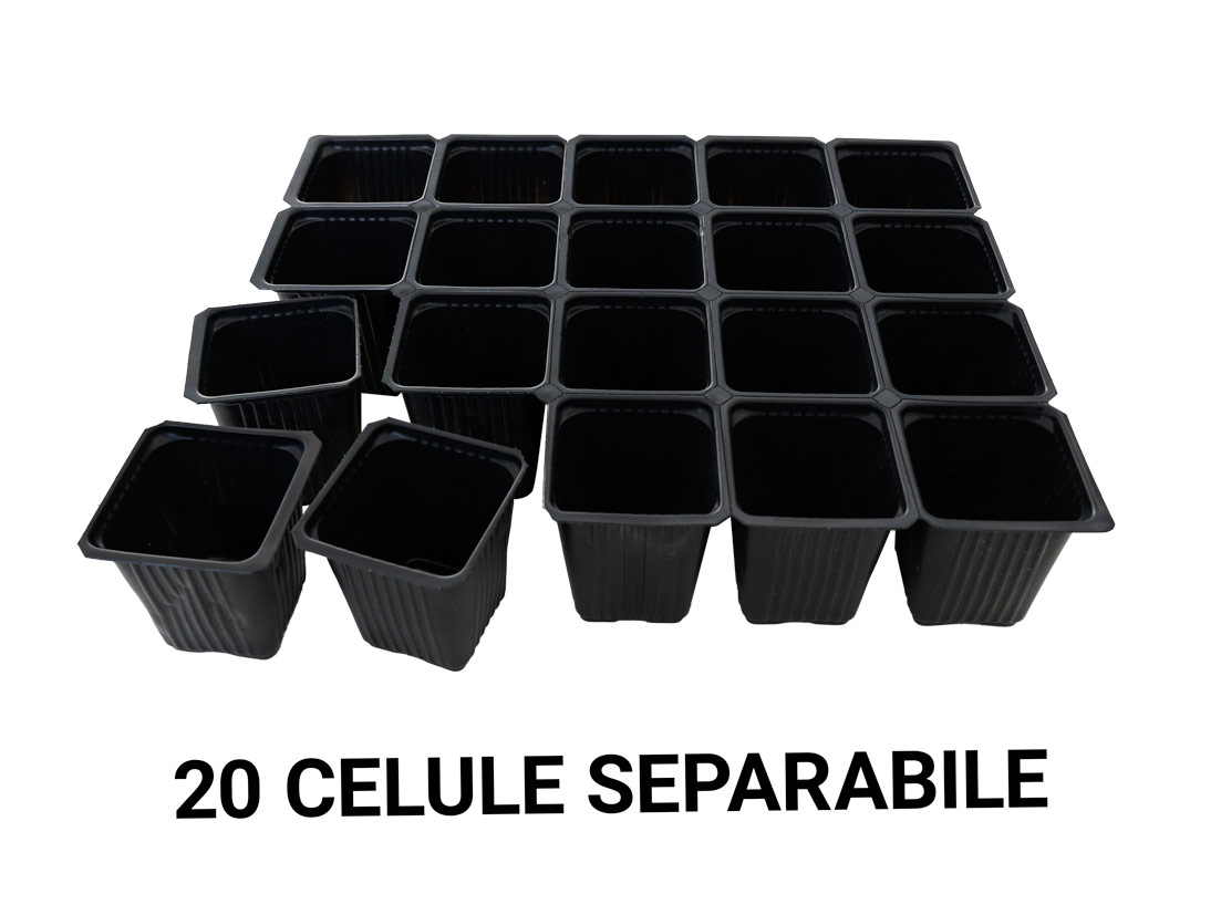 TAVI ALVEOLARE 20 CELULE PENTRU REPICAT