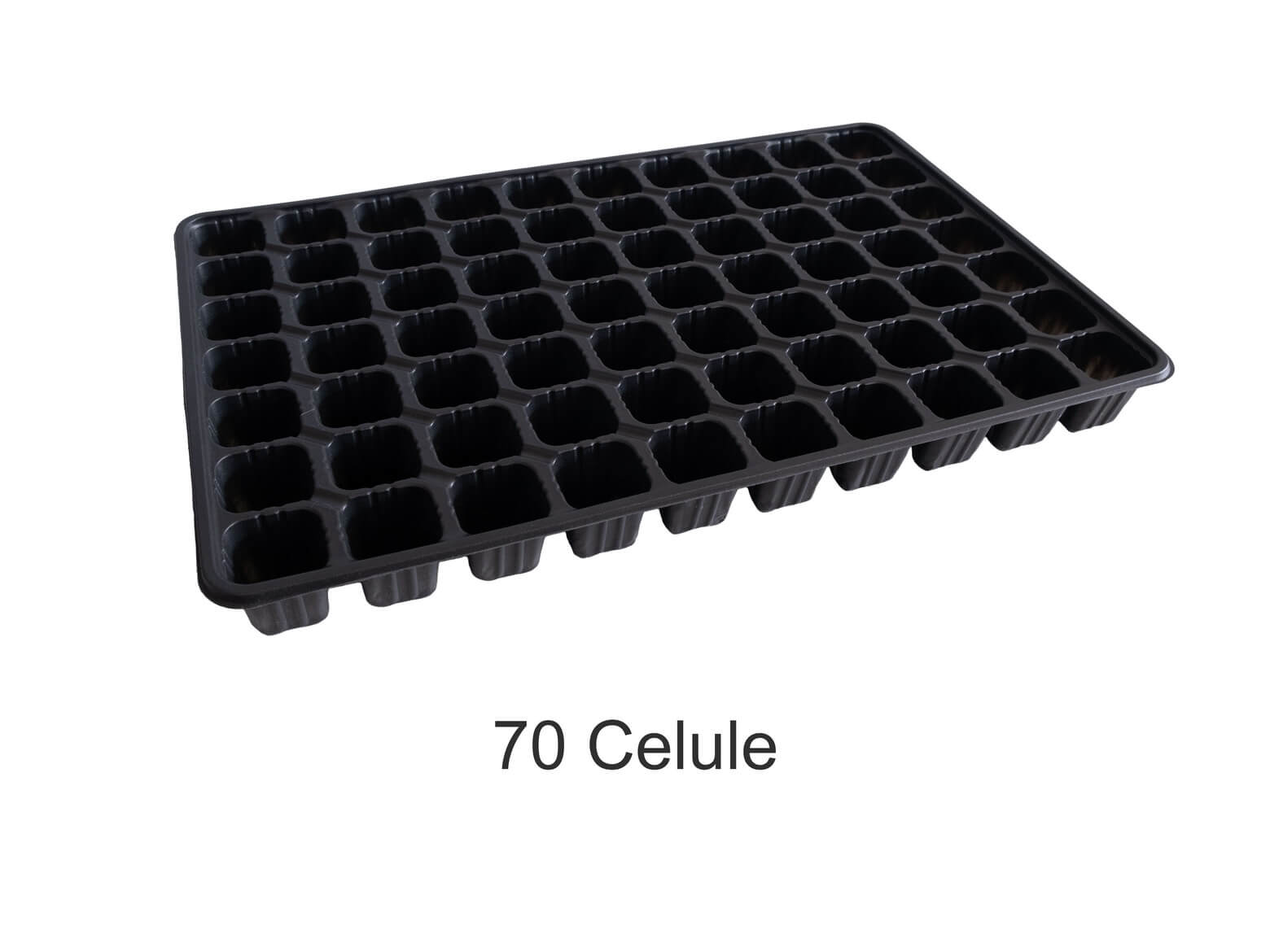 TAVI ALVEOLARE 70 CELULE PENTRU REPICAT