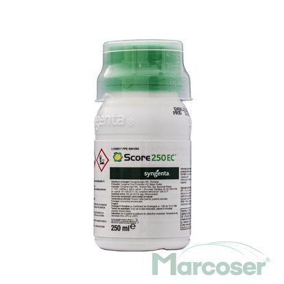 SCORE 250 EC