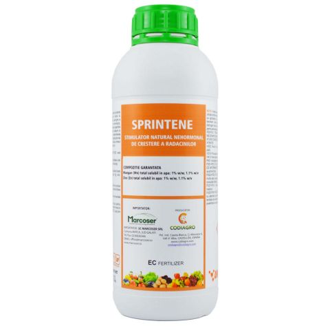 SPRINTENE