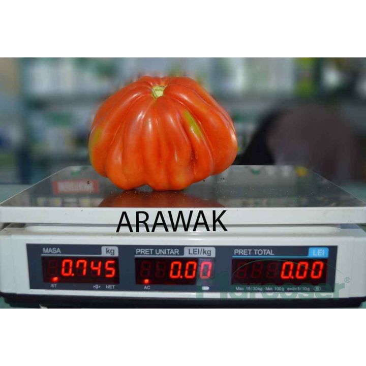Tomate Arawak - 6