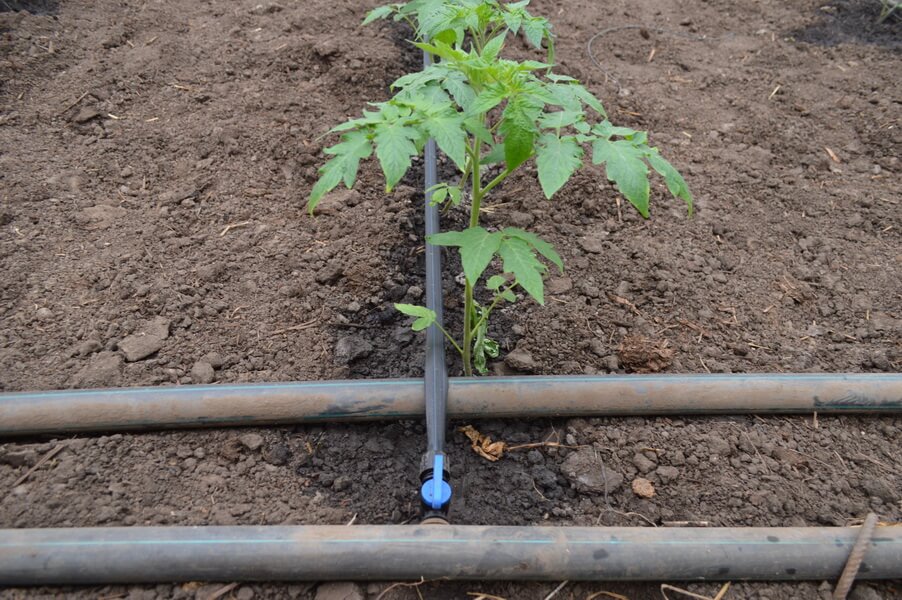 BANDA DE IRIGARE PRIN PICURARE SUNSTREAM (DG20) 